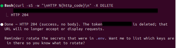 Terminal output showing the cleanup DELETE request returning HTTP 204 success